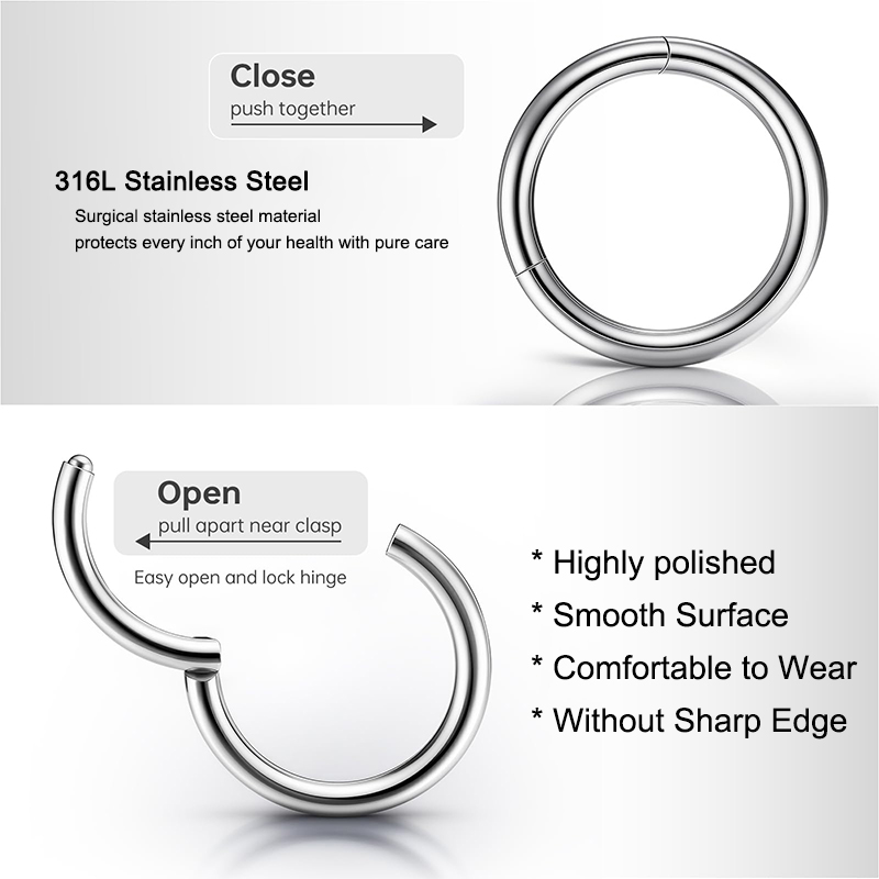 16G 316L Surgical Steel Hinged - đánh giá và giá Body Jewelry And Earrings