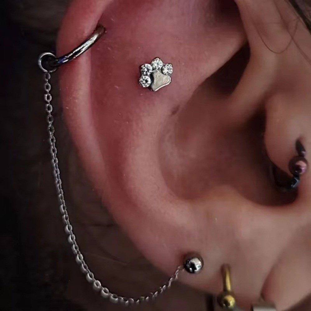 Titanium Nose Chain Three Laye - đánh giá và giá Body Jewelry Piercing