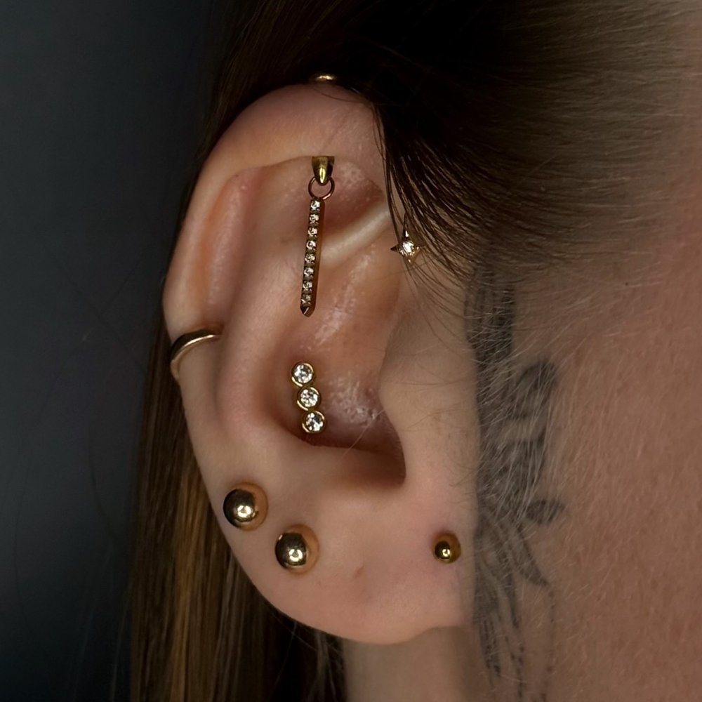 1PC G23 Titanium Hidden Vertic - đánh giá và giá Body Jewelry Vertical Labret