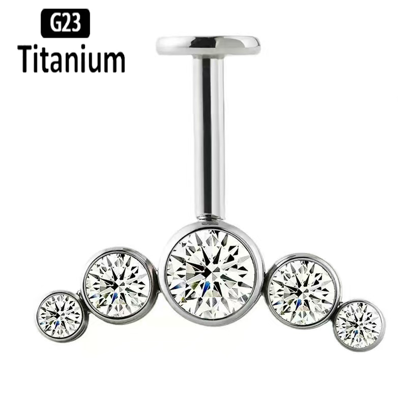 G23 Titanium Ear Piercing Inte - đánh giá và giá Body Jewelry Vertical Labret