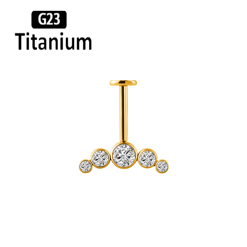 G23 Titanium Ear Piercing Inte - đánh giá và giá Body Jewelry Vertical Labret